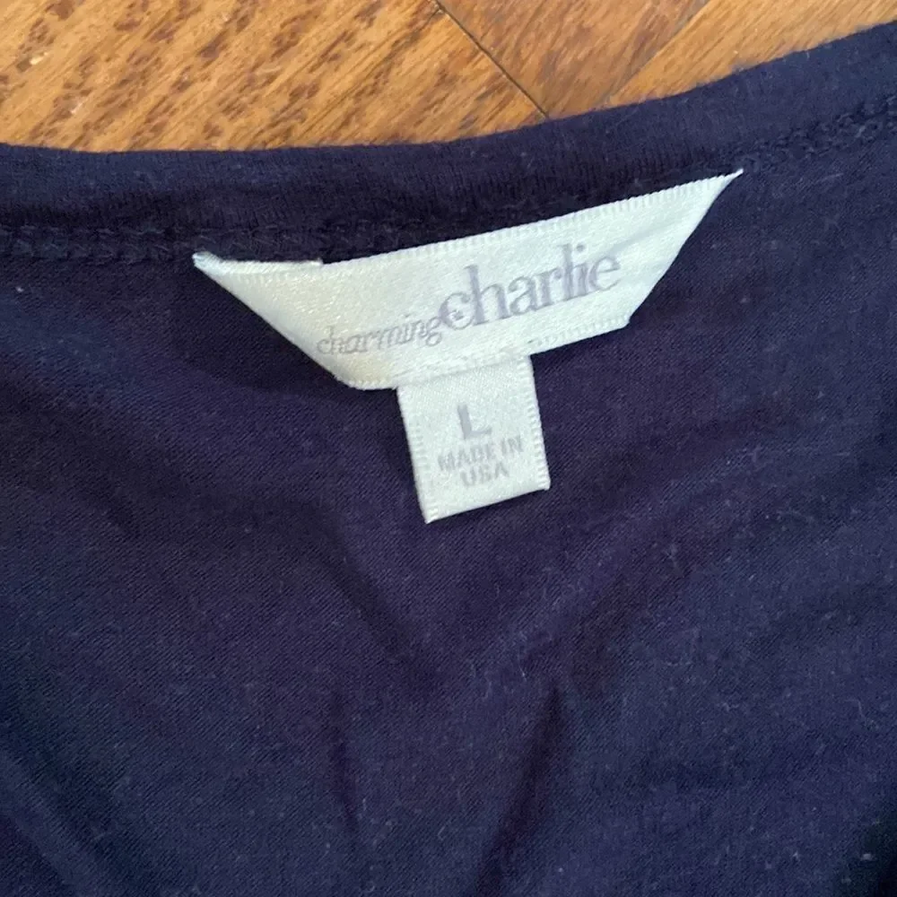 Charming Charlie dress - size L- t-shirt top - bottom lined blue and white